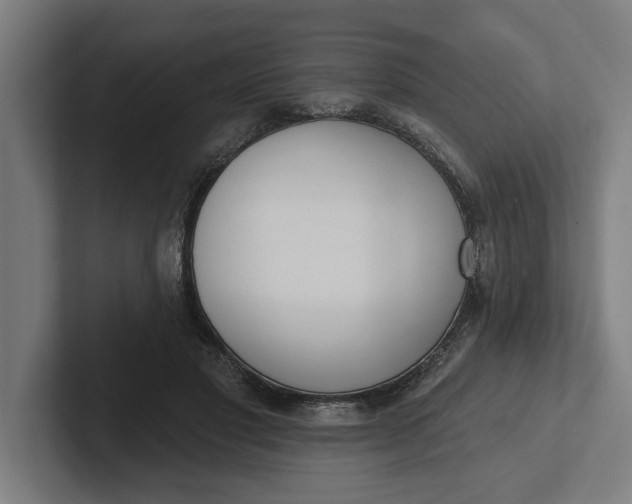 X0000102000501200808011124