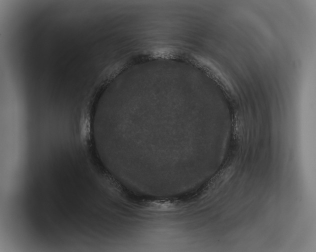 X0000102000502200808011124