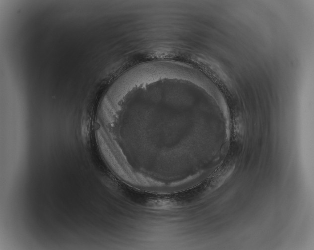 X0000102000503200808011124