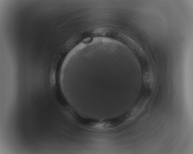 X0000102000504200808011124