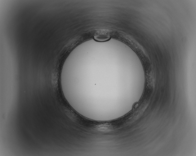 X0000102000505200808011124