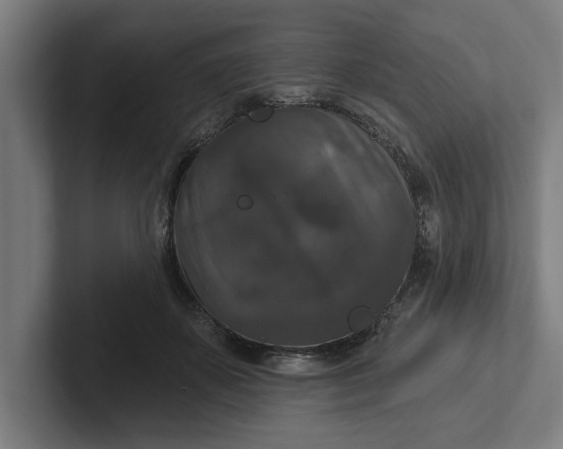 X0000102000507200808011124