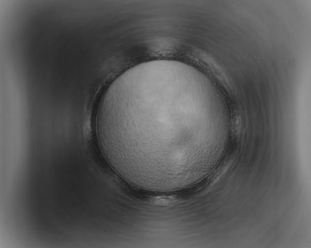 X0000102000508200808011124