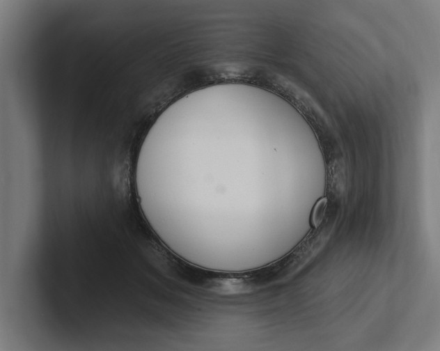 X0000102000509200808011124