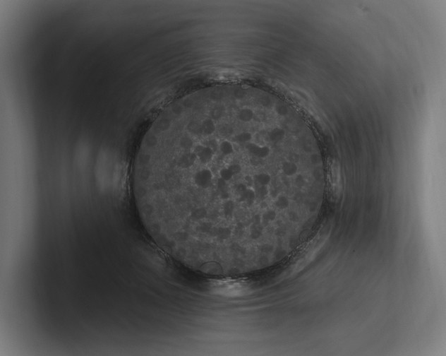 X0000102000511200808011124