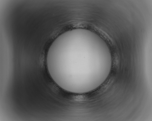 X0000102000513200808011124