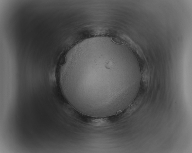 X0000102000516200808011124