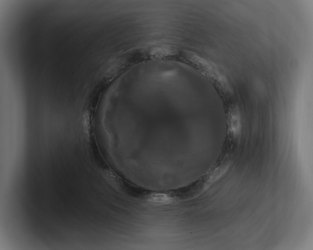 X0000102000519200808011124