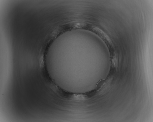 X0000102000520200808011124