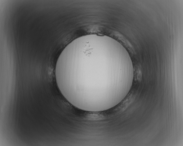 X0000102000521200808011124