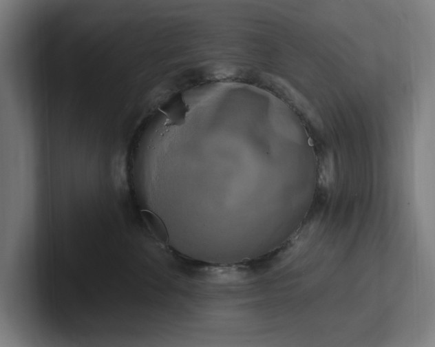 X0000102000524200808011124