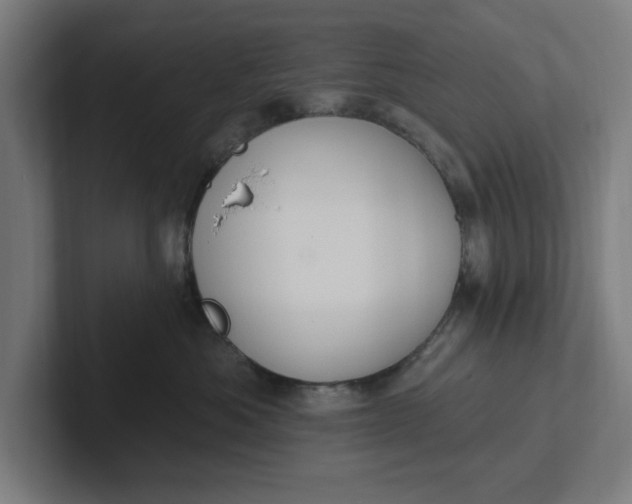 X0000102000525200808011124