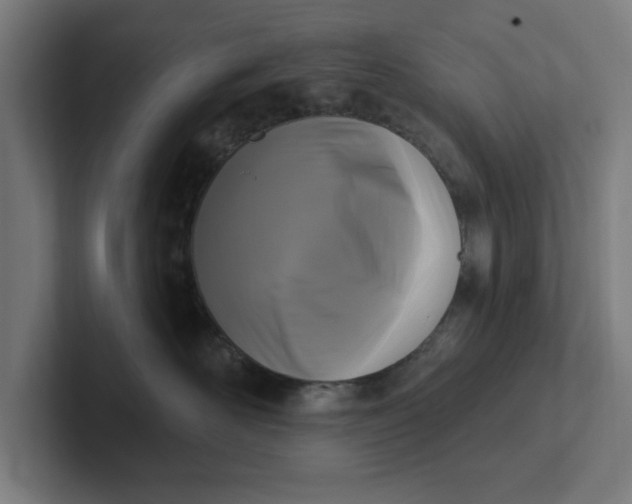 X0000102000526200808011124