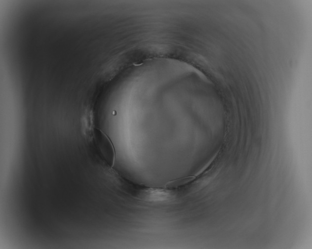 X0000102000528200808011124