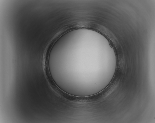 X0000102000530200808011123