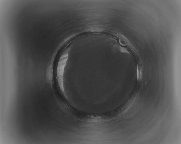 X0000102000531200808011124