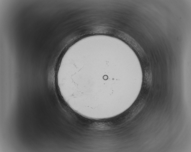 X0000102000534200808011124