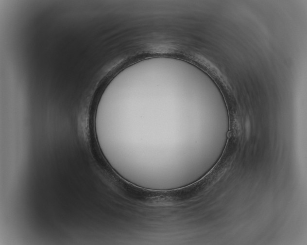 X0000102000535200808011124