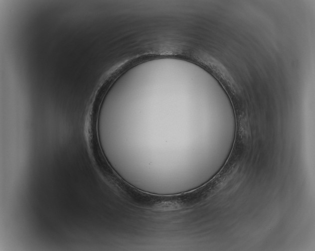 X0000102000536200808011124