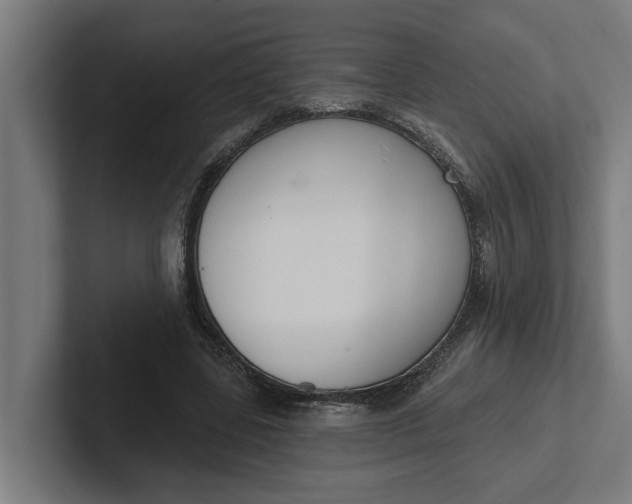 X0000102000539200808011124