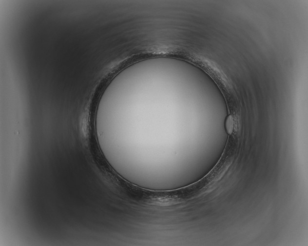 X0000102000540200808011124