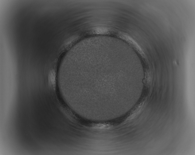 X0000102000542200808011124