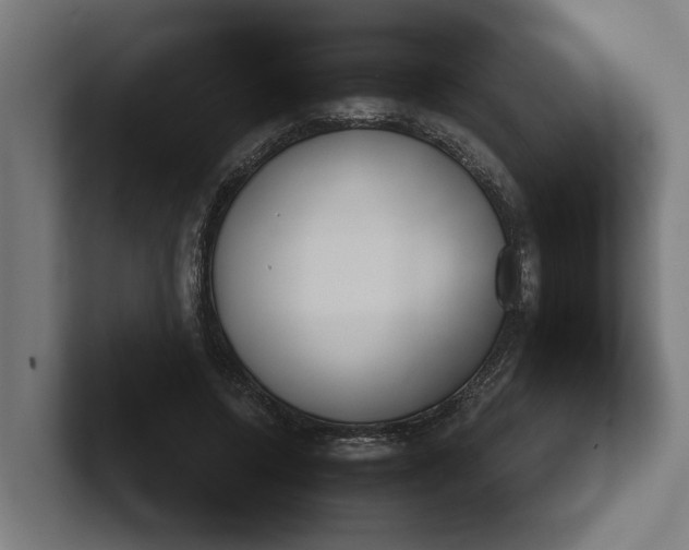 X0000102000544200808011124