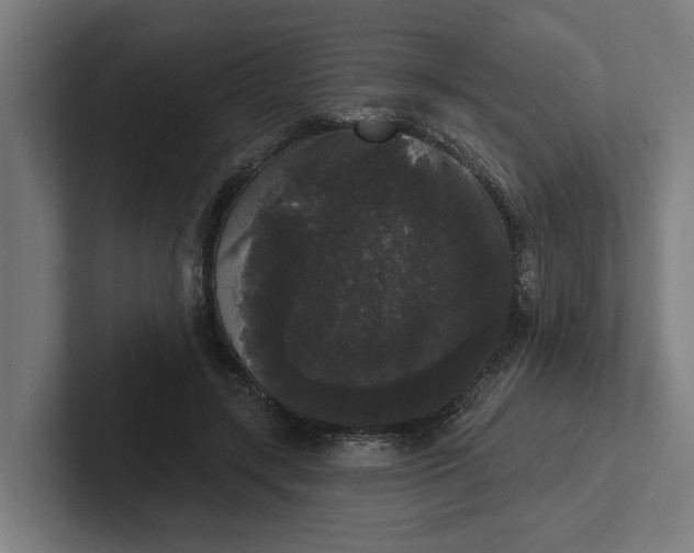 X0000102000547200808011124