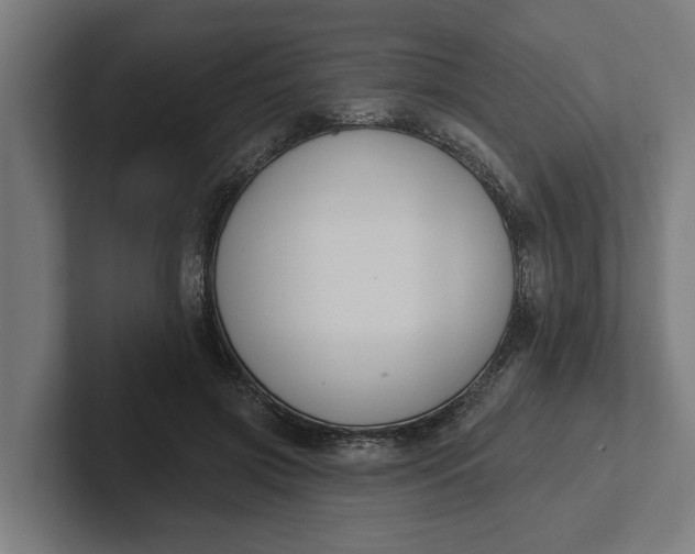 X0000102000549200808011124