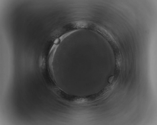 X0000102000551200808011124