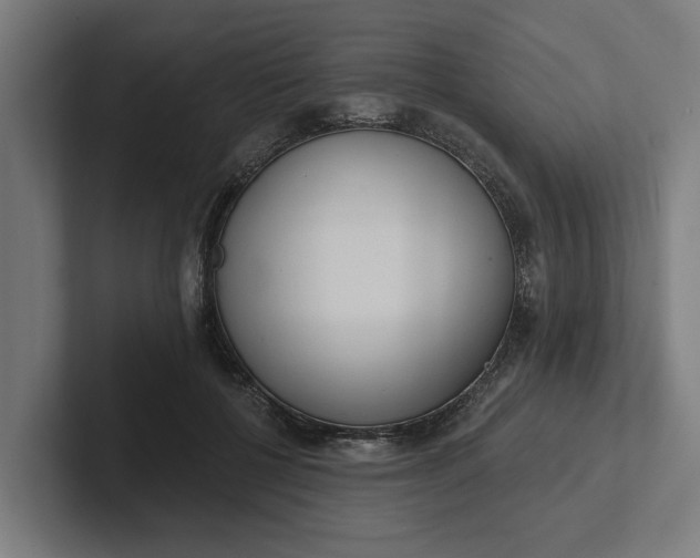 X0000102000552200808011124