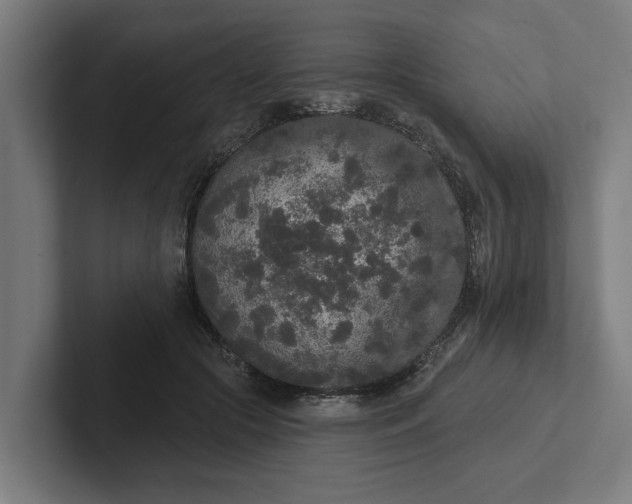 X0000102000553200808011124