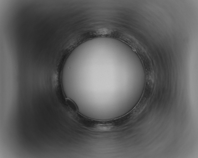 X0000102000556200808011124