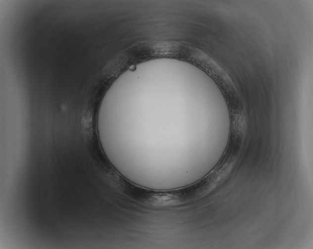 X0000102000557200808011124