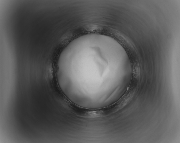 X0000102000558200808011124