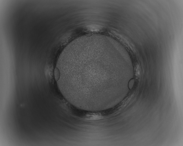 X0000102000559200808011124