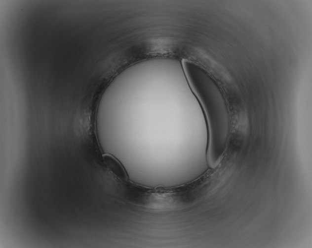 X0000102000560200808011124