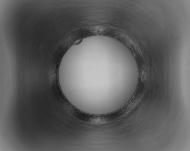 X0000102000561200808011124