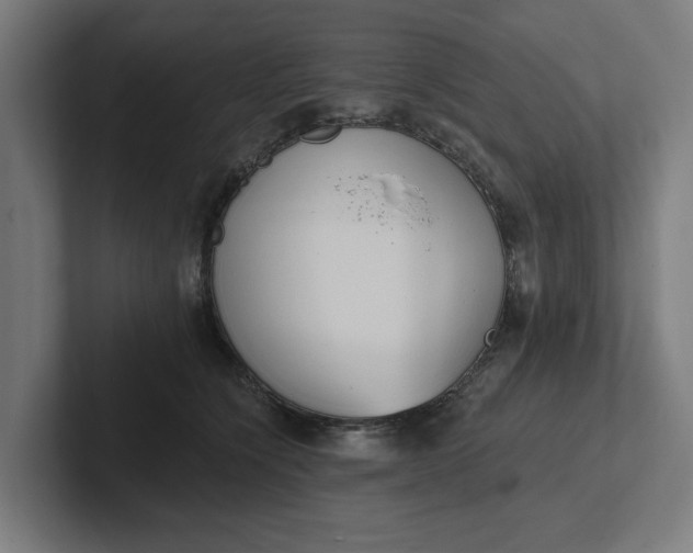 X0000102000564200808011124