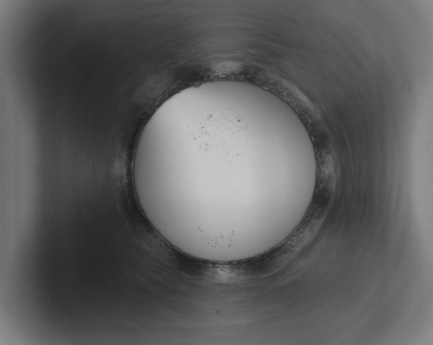 X0000102000565200808011124