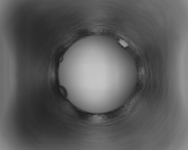 X0000102000566200808011124