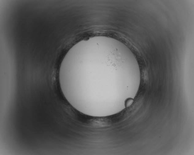 X0000102000567200808011124