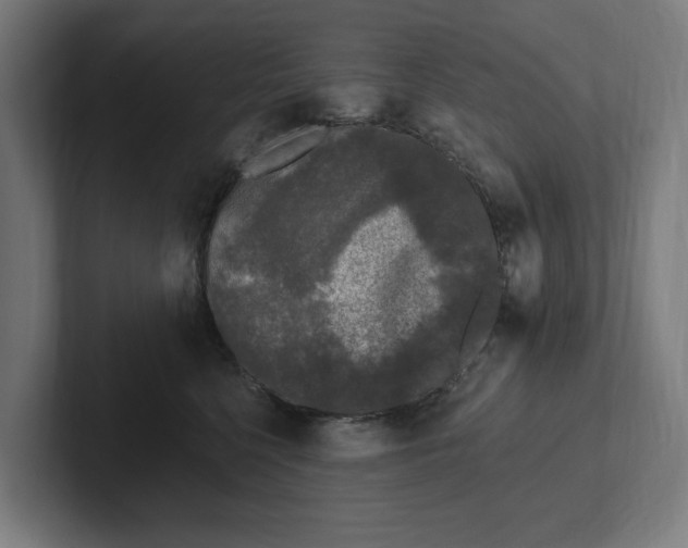 X0000102000568200808011124