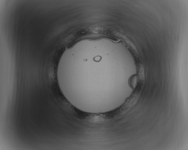 X0000102000569200808011124