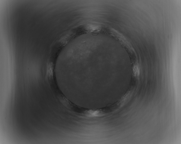 X0000102000570200808011124