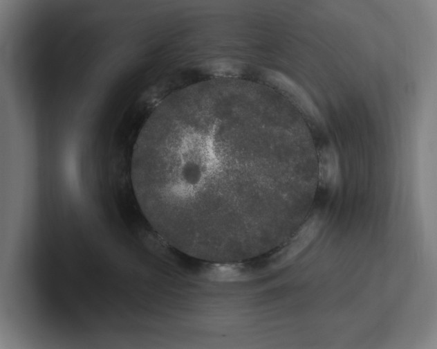 X0000102000573200808011124