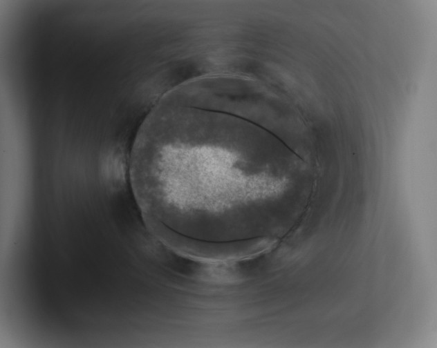 X0000102000576200808011124