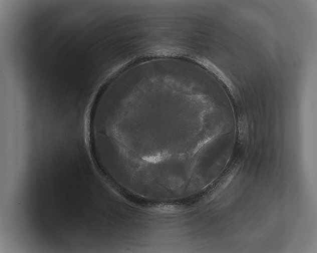 X0000102000581200808011123