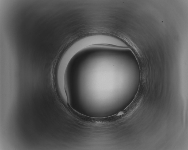 X0000102000585200808011123