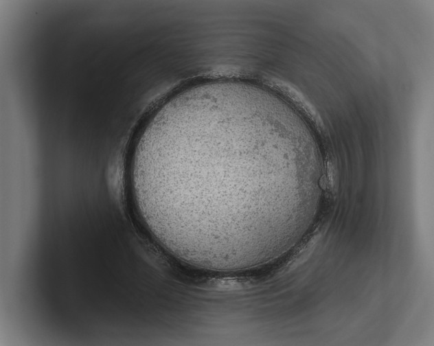 X0000102000588200808011123